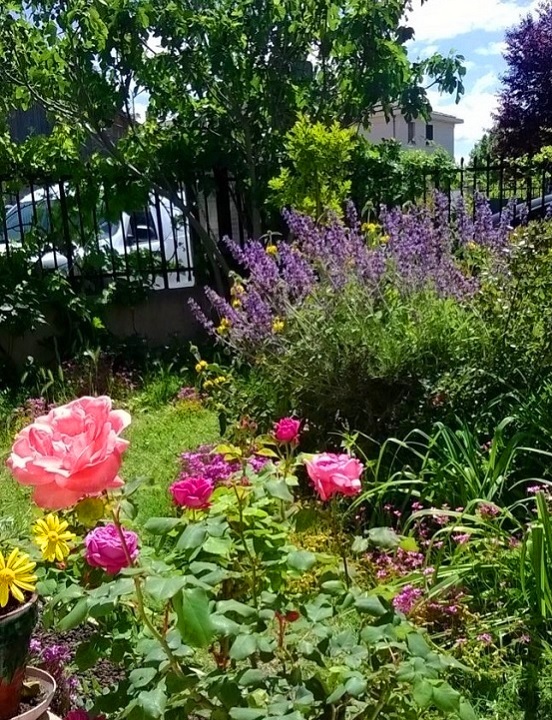 Comment bien fleurir le jardin en été
